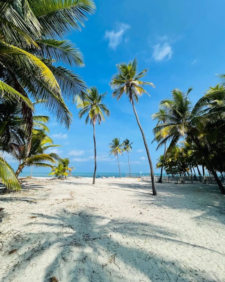 Crystal clear turquoise lagoon at Agatti Island, Lakshadweep